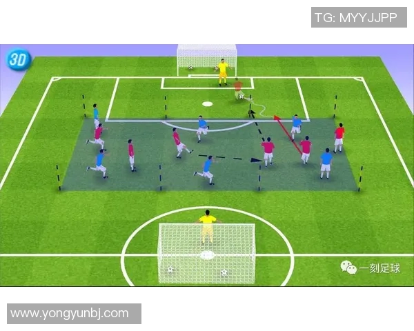 世界杯足球教练的战术智慧与球队管理能力的深度解析