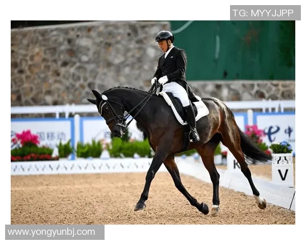 掌握马术比赛中的核心技术与驾驭马匹的必备技巧解析